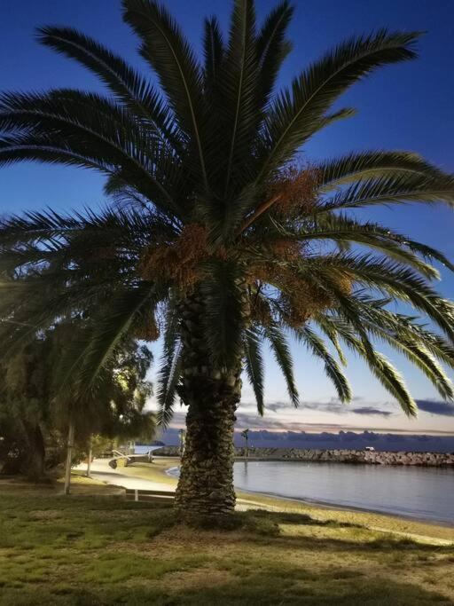 Bel Appartement 6 Personnes - Proche Toutes Commodites Tolone Esterno foto